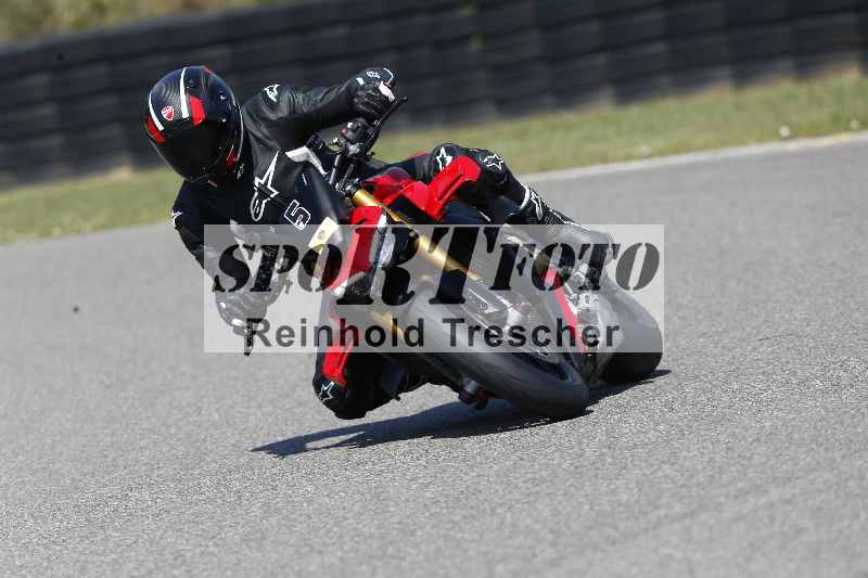 /46 11.08.2025 PADDYS-RACES-DAYS ADR/Sport-Profi/5